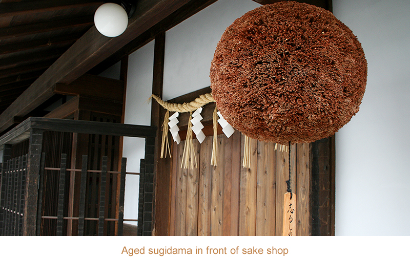 [Making a new sugidama][Aged sugidama in front of sake shop]