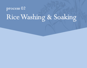 process02 Rice Washing & Soaking 