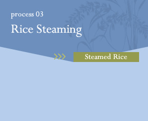 process03 Rice Steaming