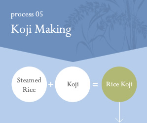 process05 Koji Making