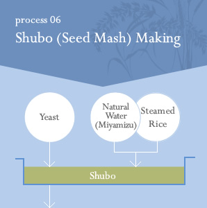 process06 Shubo(=Seed Mash)Making