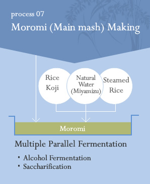 process07 Moromi(=Main mash)Making