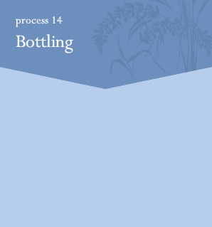 process14 Bottling
