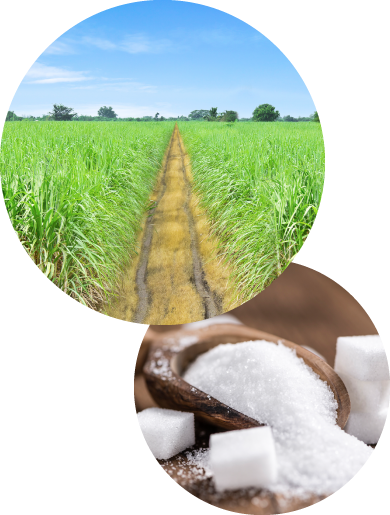No artificial sweeteners, colorants or flavors.