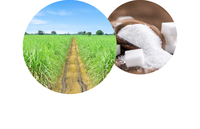No artificial sweeteners, colorants or flavors.