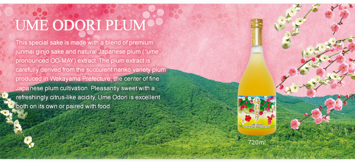 UME ODORI PLUM