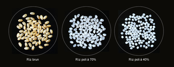 Riz brun・Riz poli à 70%・Riz poli à 40%