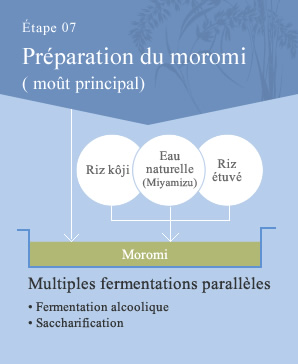 process07 Moromi(=Main mash)Making