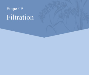 process09 Filtration