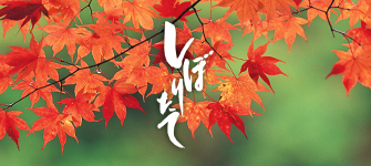 しぼりたて