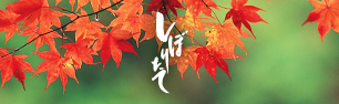 しぼりたて