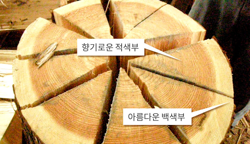 [향기로운 적색부][아름다운 백색부]