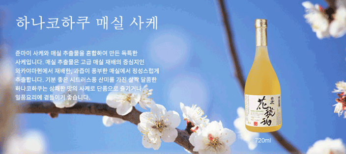 하쿠시카 하나코하쿠 매실