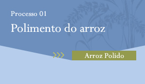 Processo01 Polimento do arroz Arroz Polido