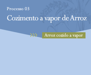 Processo03 Cozimento a vapor de Arroz Arroz cozido a vapor