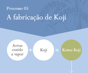 Processo05 Koji Making