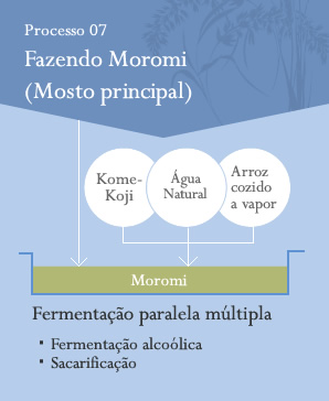 Processo07 Moromi(=Main mash)Making