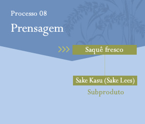 Processo08 Pressing