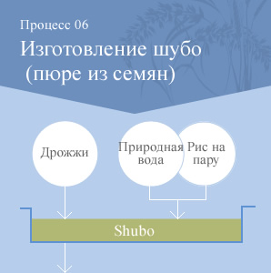 Процесс06 Изготовление шубо (пюре из семян)