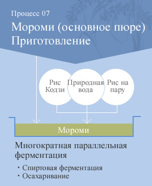 Процесс07 Мороми (основное пюре) Приготовление